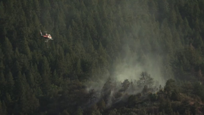 emergency helicopter flies over forest treetops