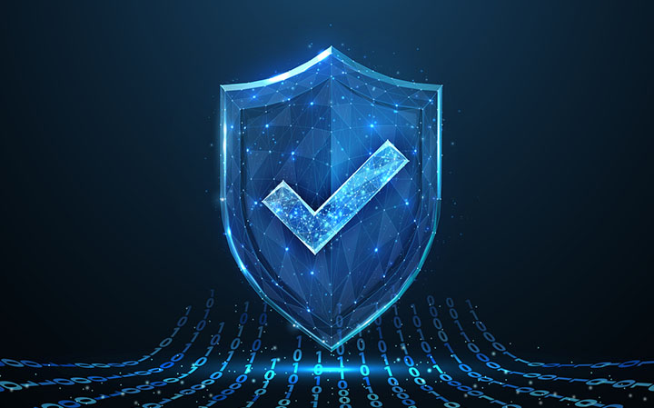 digital checkmark on a shield