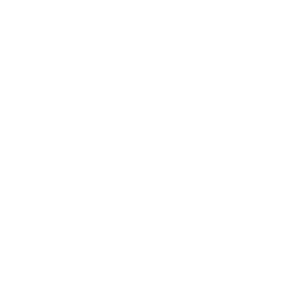 soldier icon